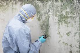 Best Forensic Mold Investigation in Hooper, UT